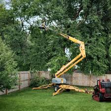 Trusted Greenville, AL  Tree Services Experts